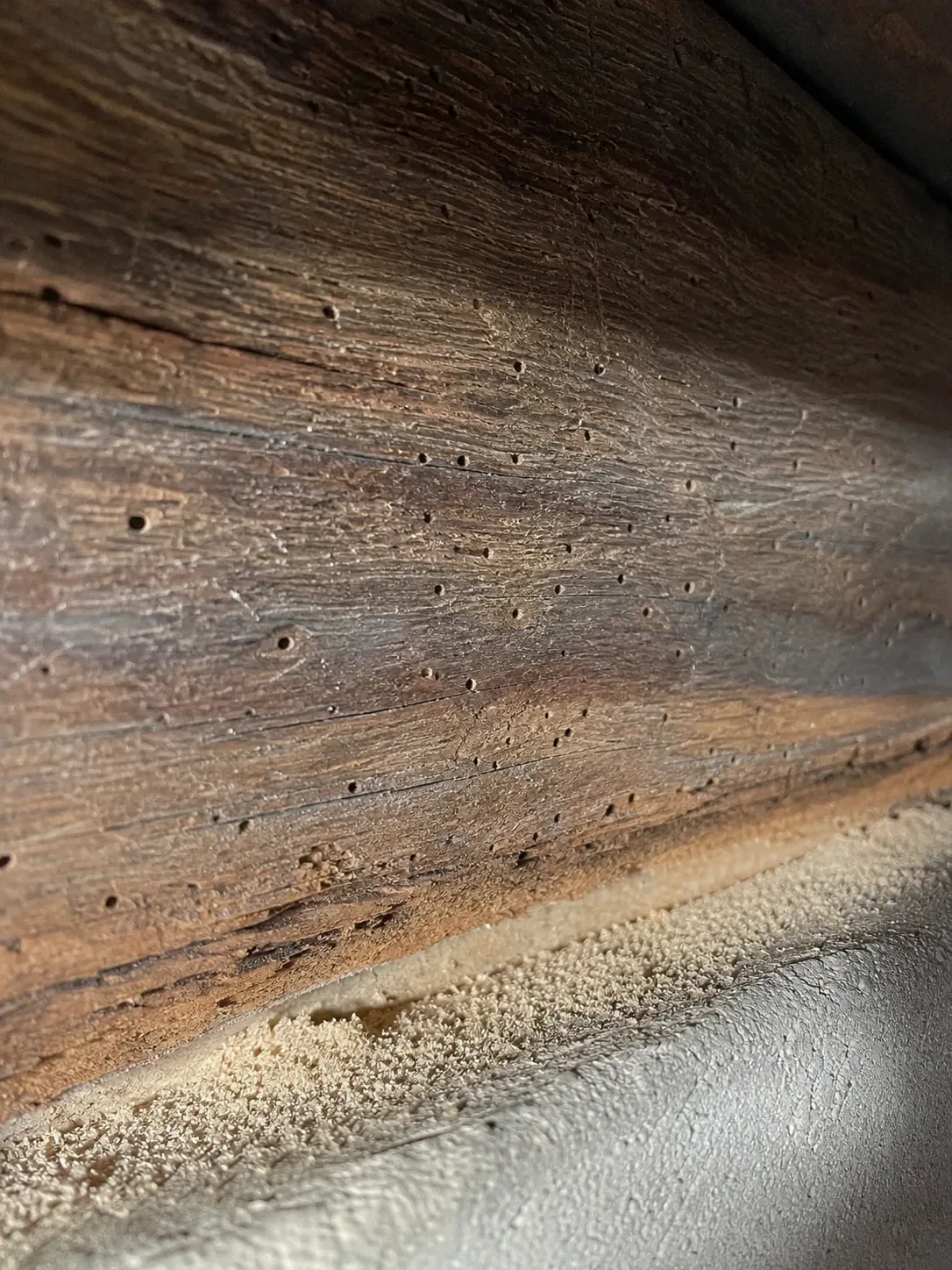 Orificios de carcoma en una viga de madera